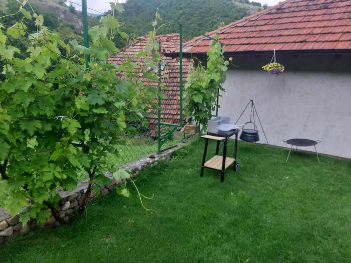 Vila Mir Pirot Eksteriør bilde