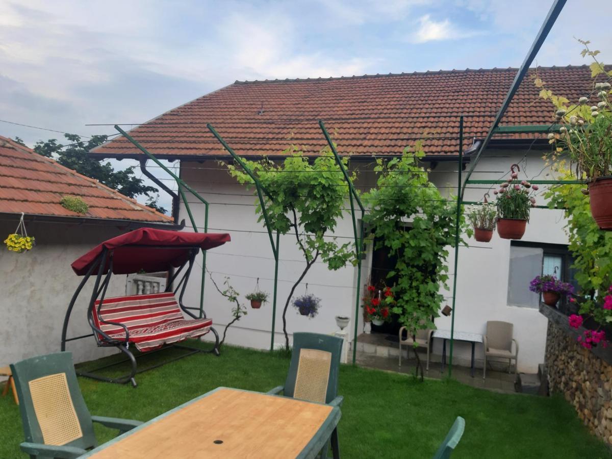 Vila Mir Pirot Eksteriør bilde